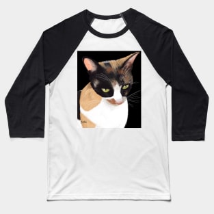 Calico Cat Baseball T-Shirt